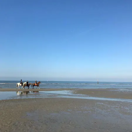 Koksijde Zeedijk Res Manh Appartement Buitenkant foto