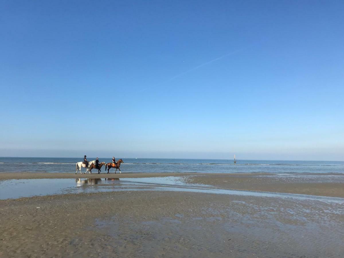 Zeedijk Res Manh Apartment Koksijde